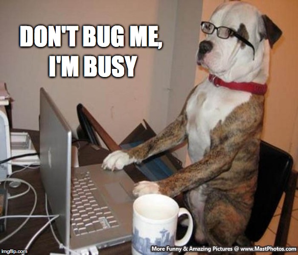 Hump Day At The Office | I'M BUSY; DON'T BUG ME, | image tagged in computer doggo | made w/ Imgflip meme maker