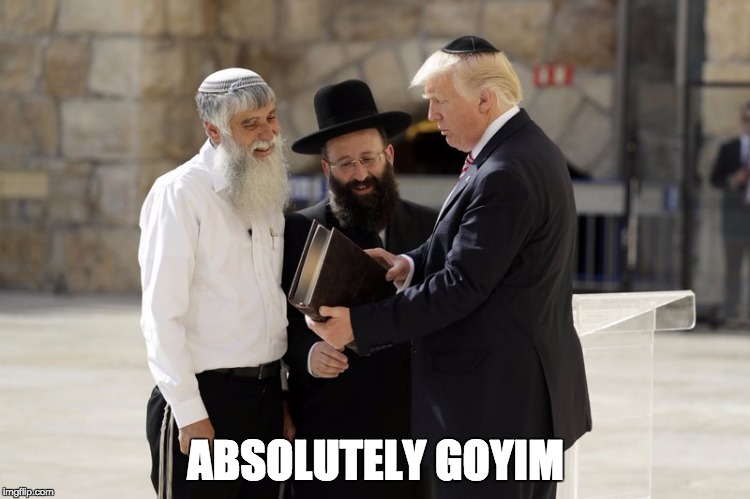 ABSOLUTELY GOYIM | image tagged in trump | made w/ Imgflip meme maker