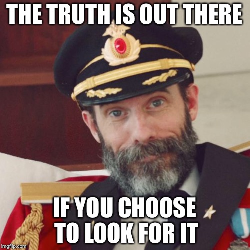 Captain Obvious | THE TRUTH IS OUT THERE; IF YOU CHOOSE TO LOOK FOR IT | image tagged in captain obvious | made w/ Imgflip meme maker