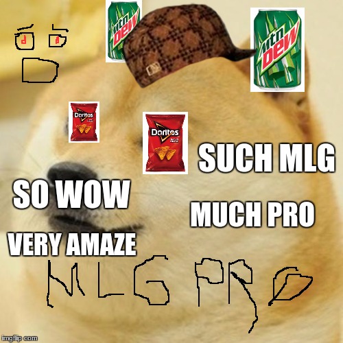 Doge Meme | SUCH MLG; SO WOW; MUCH PRO; VERY AMAZE | image tagged in memes,doge,scumbag | made w/ Imgflip meme maker