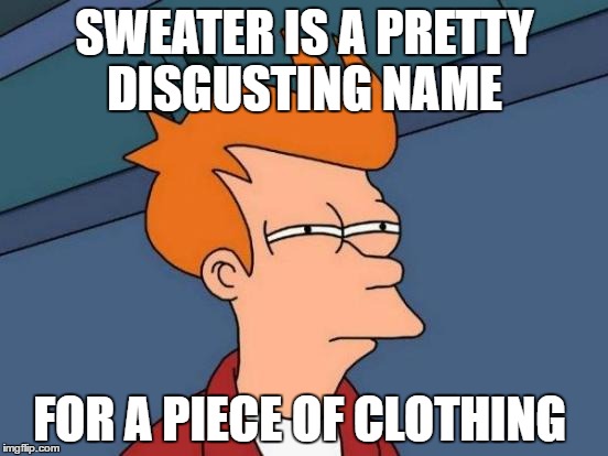 Futurama Fry Meme | SWEATER IS A PRETTY DISGUSTING NAME; FOR A PIECE OF CLOTHING | image tagged in memes,futurama fry | made w/ Imgflip meme maker