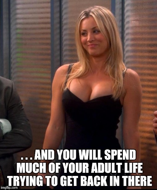 Hot Penny | . . . AND YOU WILL SPEND MUCH OF YOUR ADULT LIFE TRYING TO GET BACK IN THERE | image tagged in hot penny | made w/ Imgflip meme maker