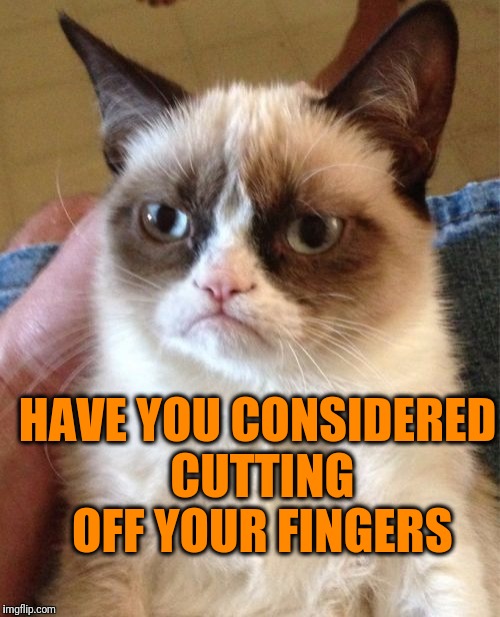 Grumpy Cat Meme | HAVE YOU CONSIDERED CUTTING OFF YOUR FINGERS | image tagged in memes,grumpy cat | made w/ Imgflip meme maker