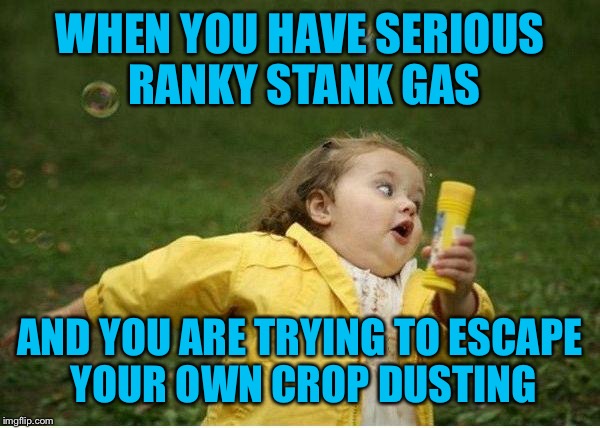 Stinky booty little crop dusting girl. |  WHEN YOU HAVE SERIOUS RANKY STANK GAS; AND YOU ARE TRYING TO ESCAPE YOUR OWN CROP DUSTING | image tagged in memes,chubby bubbles girl,vegans do everthing better even fart,badges we dont need no stinking badges,bad pun le pew,smelly cat | made w/ Imgflip meme maker