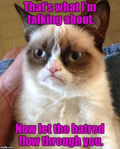 Grumpy Cat Meme | That's what I'm talking about. Now let the hatred flow through you. | image tagged in memes,grumpy cat | made w/ Imgflip meme maker