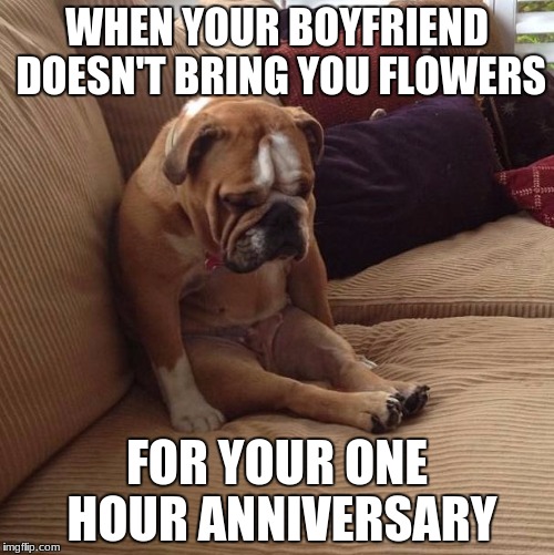 bulldogsad | WHEN YOUR BOYFRIEND DOESN'T BRING YOU FLOWERS; FOR YOUR ONE HOUR ANNIVERSARY | image tagged in bulldogsad | made w/ Imgflip meme maker