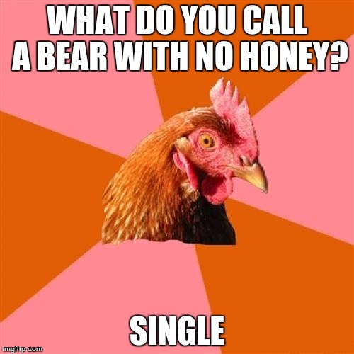 Anti Joke Chicken | WHAT DO YOU CALL A BEAR WITH NO HONEY? SINGLE | image tagged in memes,anti joke chicken | made w/ Imgflip meme maker