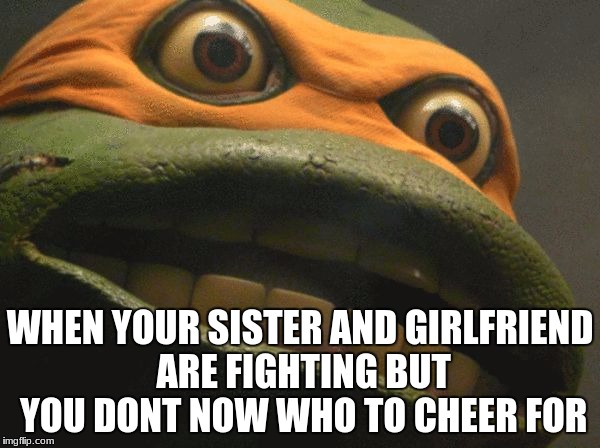 puscTMNT | WHEN YOUR SISTER AND GIRLFRIEND ARE FIGHTING BUT YOU DONT NOW WHO TO CHEER FOR | image tagged in pusctmnt | made w/ Imgflip meme maker