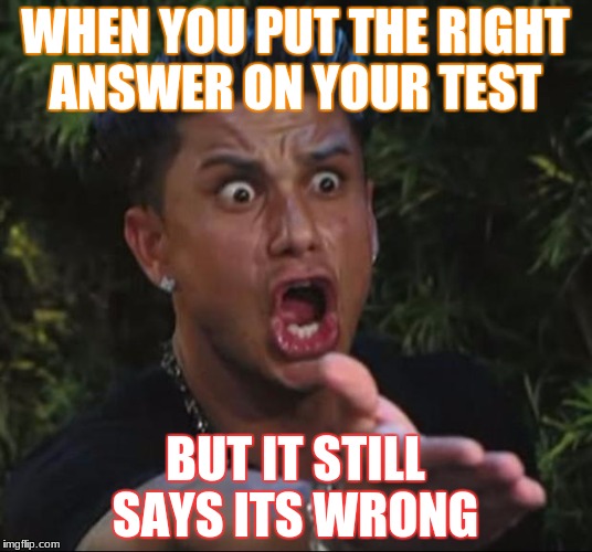 DJ Pauly D | WHEN YOU PUT THE RIGHT ANSWER ON YOUR TEST; BUT IT STILL SAYS ITS WRONG | image tagged in memes,dj pauly d | made w/ Imgflip meme maker