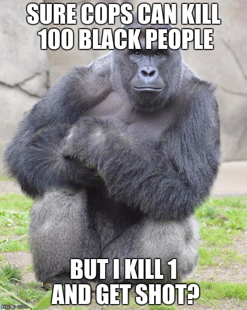 Harambe | SURE COPS CAN KILL 100 BLACK PEOPLE; BUT I KILL 1 AND GET SHOT? | image tagged in harambe | made w/ Imgflip meme maker