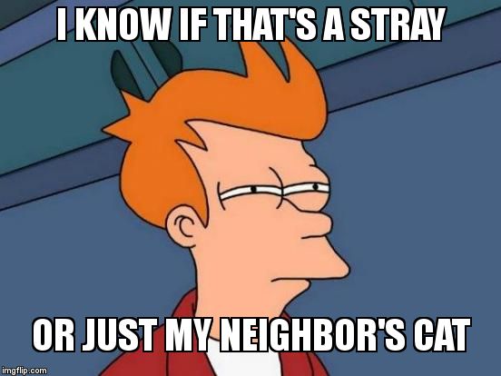 Futurama Fry Meme | I KNOW IF THAT'S A STRAY; OR JUST MY NEIGHBOR'S CAT | image tagged in memes,futurama fry | made w/ Imgflip meme maker