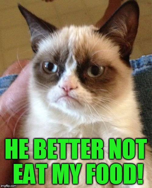 Grumpy Cat Meme | HE BETTER NOT EAT MY FOOD! | image tagged in memes,grumpy cat | made w/ Imgflip meme maker