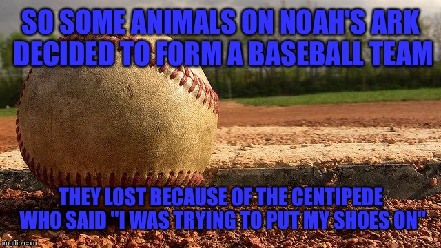 Baseball  | SO SOME ANIMALS ON NOAH'S ARK DECIDED TO FORM A BASEBALL TEAM; THEY LOST BECAUSE OF THE CENTIPEDE WHO SAID "I WAS TRYING TO PUT MY SHOES ON" | image tagged in baseball | made w/ Imgflip meme maker