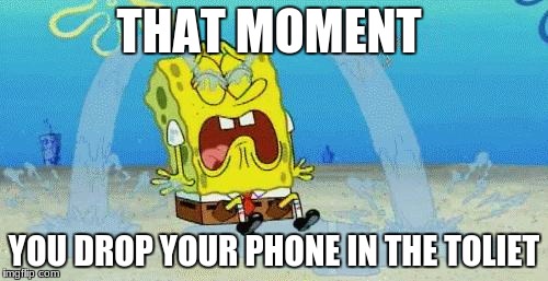 sad crying spongebob | THAT MOMENT; YOU DROP YOUR PHONE IN THE TOLIET | image tagged in sad crying spongebob | made w/ Imgflip meme maker