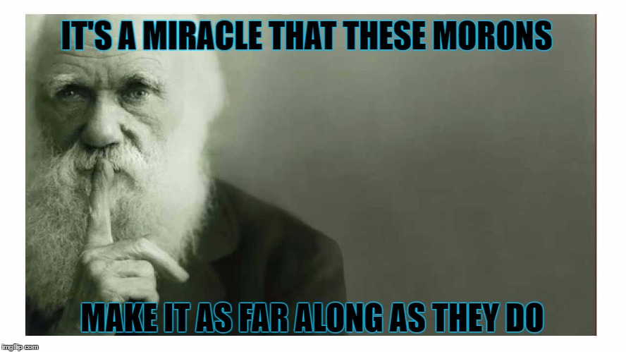 IT'S A MIRACLE THAT THESE MORONS MAKE IT AS FAR ALONG AS THEY DO | made w/ Imgflip meme maker