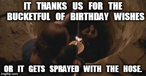 Silence of The Birthday Wishes | IT   THANKS   US   FOR   THE   BUCKETFUL   OF   BIRTHDAY   WISHES; OR   IT   GETS   SPRAYED   WITH   THE   HOSE. | image tagged in birthday,silence,lambs | made w/ Imgflip meme maker