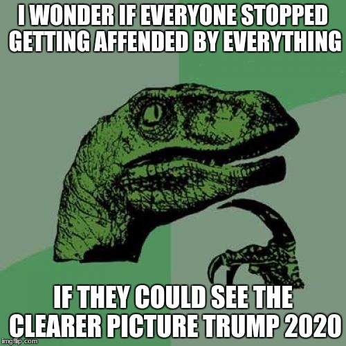Philosoraptor Meme | I WONDER IF EVERYONE STOPPED GETTING AFFENDED BY EVERYTHING; IF THEY COULD SEE THE CLEARER PICTURE TRUMP 2020 | image tagged in memes,philosoraptor | made w/ Imgflip meme maker