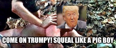 COME ON TRUMPY! SQUEAL LIKE A PIG BOY | made w/ Imgflip meme maker