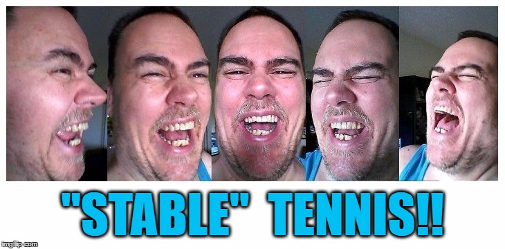 LOL | "STABLE"  TENNIS!! | image tagged in lol | made w/ Imgflip meme maker