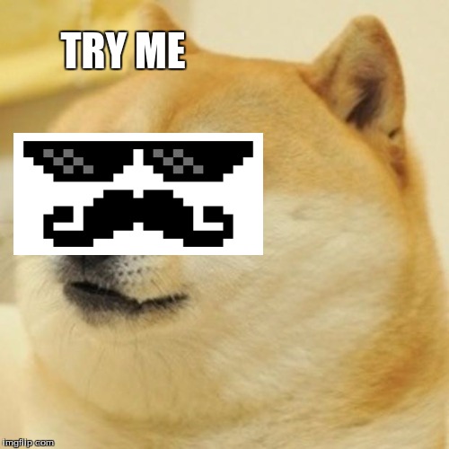Doge Meme | TRY ME | image tagged in memes,doge | made w/ Imgflip meme maker