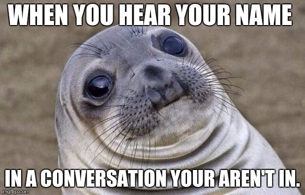 Other Conversations | WHEN YOU HEAR YOUR NAME; IN A CONVERSATION YOUR AREN'T IN. | image tagged in memes,awkward moment sealion | made w/ Imgflip meme maker