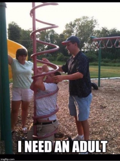 Some adults can't even be trusted | image tagged in adult,playground,fails | made w/ Imgflip meme maker