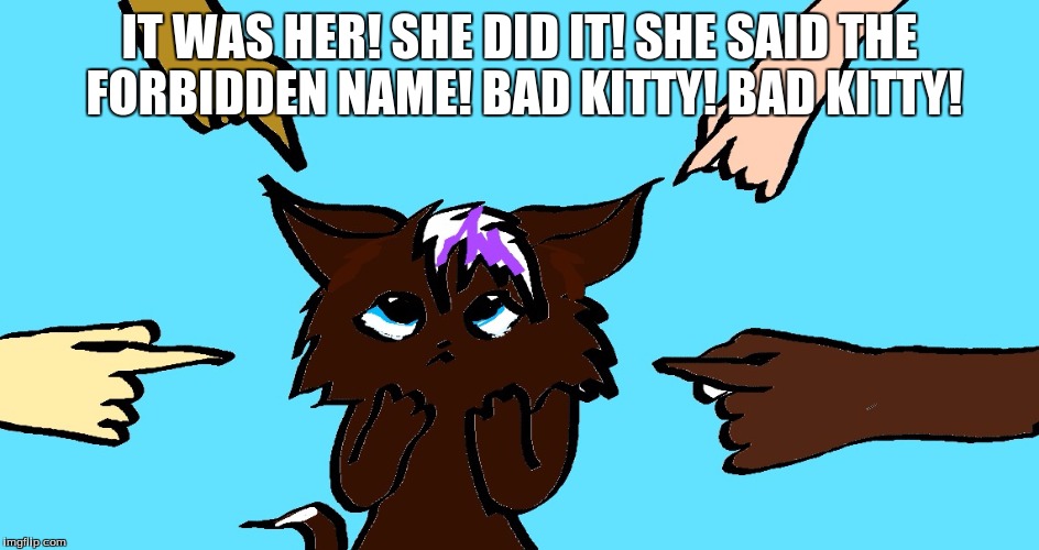 IT WAS HER! SHE DID IT! SHE SAID THE FORBIDDEN NAME! BAD KITTY! BAD KITTY! | made w/ Imgflip meme maker