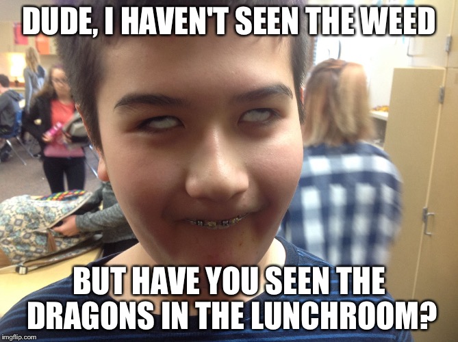 DUDE, I HAVEN'T SEEN THE WEED; BUT HAVE YOU SEEN THE DRAGONS IN THE LUNCHROOM? | image tagged in high asian boy | made w/ Imgflip meme maker