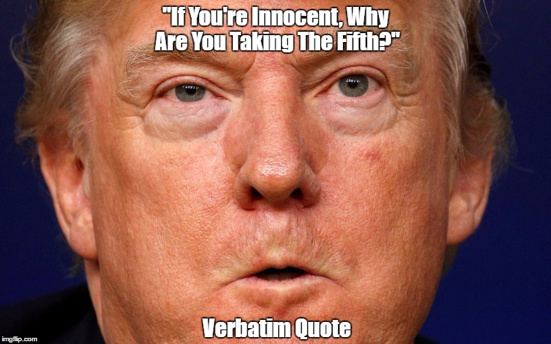 "If You're Innocent, Why Are You Taking The Fifth?" Verbatim Quote | "If You're Innocent, Why Are You Taking The Fifth?" Verbatim Quote | image tagged in despicable donald,deplorable donald,dishonorable donald,devious donald,donald dick,mafia don | made w/ Imgflip meme maker