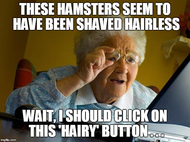 Grandma Finds The Internet Meme | THESE HAMSTERS SEEM TO HAVE BEEN SHAVED HAIRLESS WAIT, I SHOULD CLICK ON THIS 'HAIRY' BUTTON . . . | image tagged in memes,grandma finds the internet | made w/ Imgflip meme maker