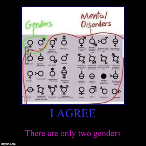 I AGREE | There are only two genders | image tagged in funny,demotivationals | made w/ Imgflip demotivational maker