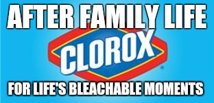 CLOROX ANTIVIRUS | AFTER FAMILY LIFE; FOR LIFE'S BLEACHABLE MOMENTS | image tagged in clorox antivirus | made w/ Imgflip meme maker