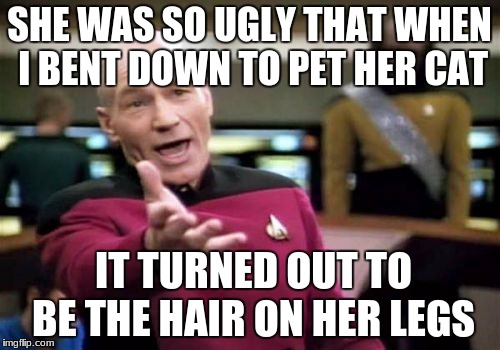 Picard Wtf Meme | SHE WAS SO UGLY THAT WHEN I BENT DOWN TO PET HER CAT IT TURNED OUT TO BE THE HAIR ON HER LEGS | image tagged in memes,picard wtf | made w/ Imgflip meme maker