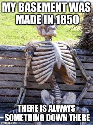 Waiting Skeleton Meme | MY BASEMENT WAS MADE IN 1850 THERE IS ALWAYS SOMETHING DOWN THERE | image tagged in memes,waiting skeleton | made w/ Imgflip meme maker