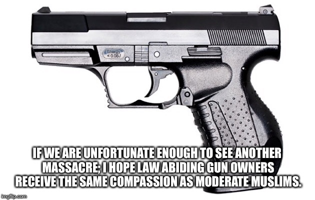 Gun Control | IF WE ARE UNFORTUNATE ENOUGH TO SEE ANOTHER MASSACRE; I HOPE LAW ABIDING GUN OWNERS RECEIVE THE SAME COMPASSION AS MODERATE MUSLIMS. | image tagged in gifs,kill yourself guy | made w/ Imgflip meme maker