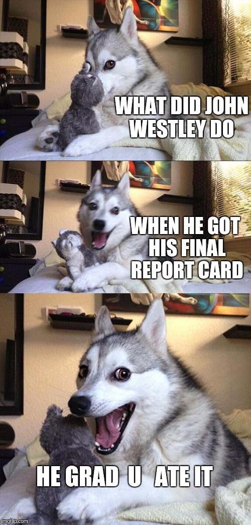 Bad Pun Dog | WHAT DID JOHN WESTLEY DO; WHEN HE GOT HIS FINAL REPORT CARD; HE GRAD  U   ATE IT | image tagged in memes,bad pun dog,lol so funny,kids these days,homework,graduation | made w/ Imgflip meme maker
