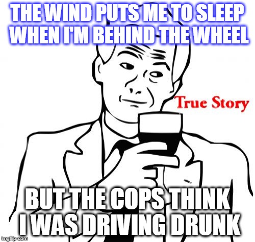 True Story | THE WIND PUTS ME TO SLEEP WHEN I'M BEHIND THE WHEEL; BUT THE COPS THINK I WAS DRIVING DRUNK | image tagged in memes,true story | made w/ Imgflip meme maker