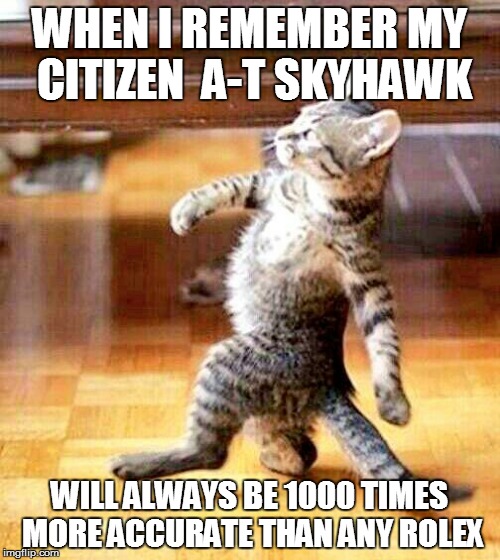 WHEN I REMEMBER MY CITIZEN  A-T SKYHAWK WILL ALWAYS BE 1000 TIMES MORE ACCURATE THAN ANY ROLEX | made w/ Imgflip meme maker