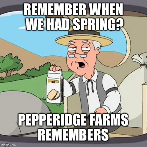 Blah blah Climate Change Blah blah… What do You Want? I've been sick! | REMEMBER WHEN WE HAD SPRING? PEPPERIDGE FARMS REMEMBERS | image tagged in memes,pepperidge farm remembers,climate change,summer,seattle | made w/ Imgflip meme maker