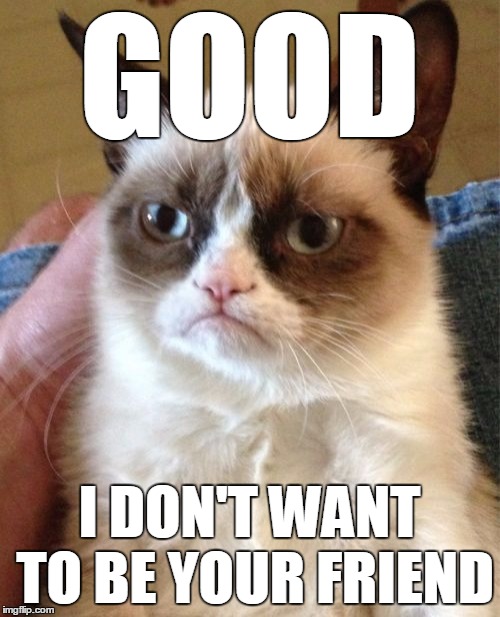 Grumpy Cat Meme | GOOD I DON'T WANT TO BE YOUR FRIEND | image tagged in memes,grumpy cat | made w/ Imgflip meme maker