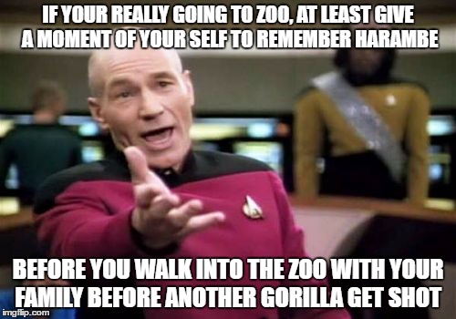 Picard Wtf | IF YOUR REALLY GOING TO ZOO, AT LEAST GIVE A MOMENT OF YOUR SELF TO REMEMBER HARAMBE; BEFORE YOU WALK INTO THE ZOO WITH YOUR FAMILY BEFORE ANOTHER GORILLA GET SHOT | image tagged in memes,picard wtf | made w/ Imgflip meme maker