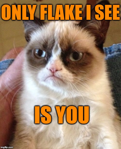 Grumpy Cat Meme | ONLY FLAKE I SEE IS YOU | image tagged in memes,grumpy cat | made w/ Imgflip meme maker