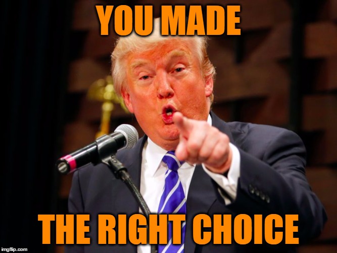 trump point | YOU MADE THE RIGHT CHOICE | image tagged in trump point | made w/ Imgflip meme maker