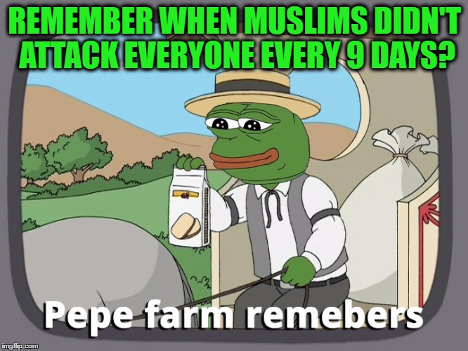 pepe farms members trump win | REMEMBER WHEN MUSLIMS DIDN'T ATTACK EVERYONE EVERY 9 DAYS? | image tagged in pepe farms members trump win | made w/ Imgflip meme maker