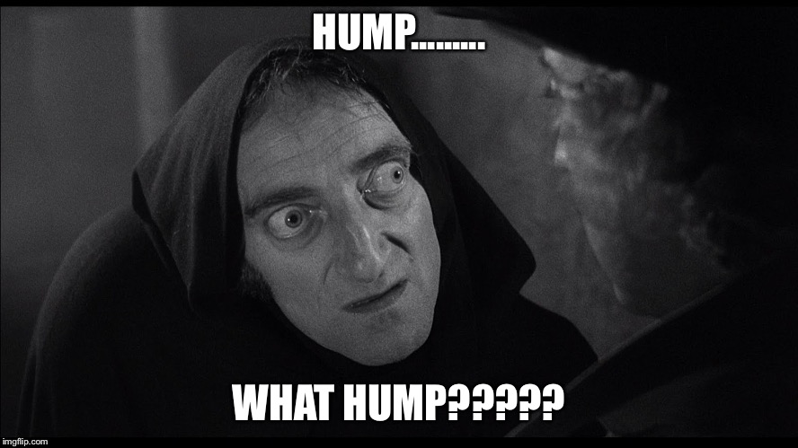HUMP......... WHAT HUMP????? | image tagged in igor | made w/ Imgflip meme maker