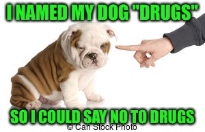 I NAMED MY DOG "DRUGS" SO I COULD SAY NO TO DRUGS | made w/ Imgflip meme maker