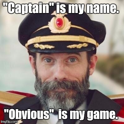 1jdo5i.jpg | "Captain" is my name. "Obvious"  is my game. | image tagged in 1jdo5ijpg | made w/ Imgflip meme maker