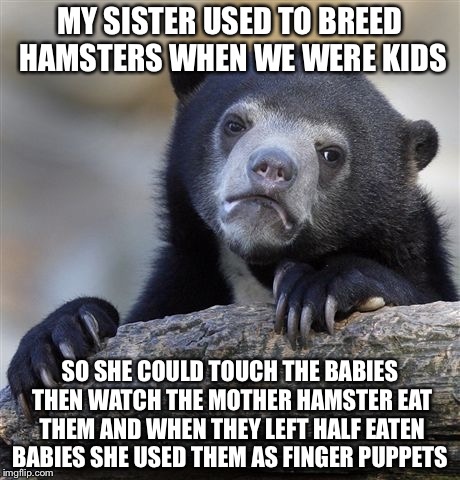 Confession Bear Meme | MY SISTER USED TO BREED HAMSTERS WHEN WE WERE KIDS SO SHE COULD TOUCH THE BABIES THEN WATCH THE MOTHER HAMSTER EAT THEM AND WHEN THEY LEFT H | image tagged in memes,confession bear | made w/ Imgflip meme maker