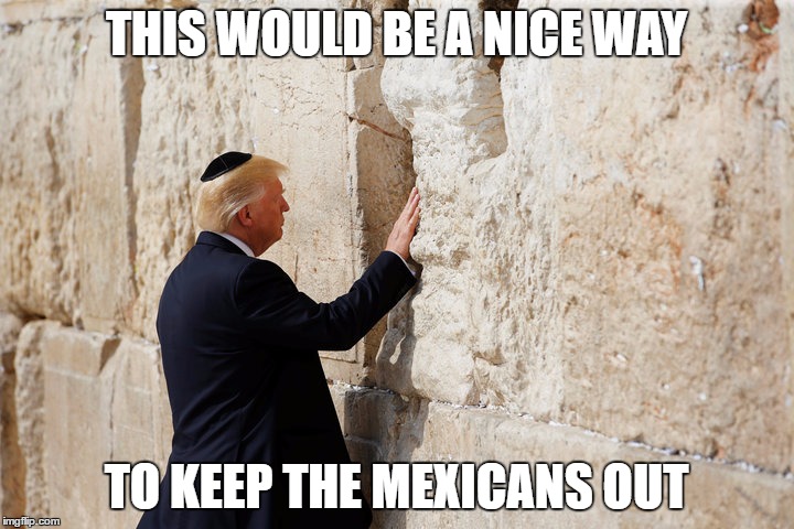 THIS WOULD BE A NICE WAY; TO KEEP THE MEXICANS OUT | image tagged in trump | made w/ Imgflip meme maker