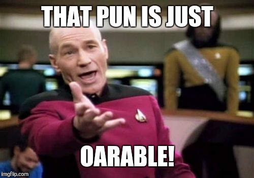 Picard Wtf Meme | THAT PUN IS JUST OARABLE! | image tagged in memes,picard wtf | made w/ Imgflip meme maker